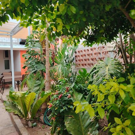 El Chirris B&B 圣胡安拉拉古纳 外观 照片