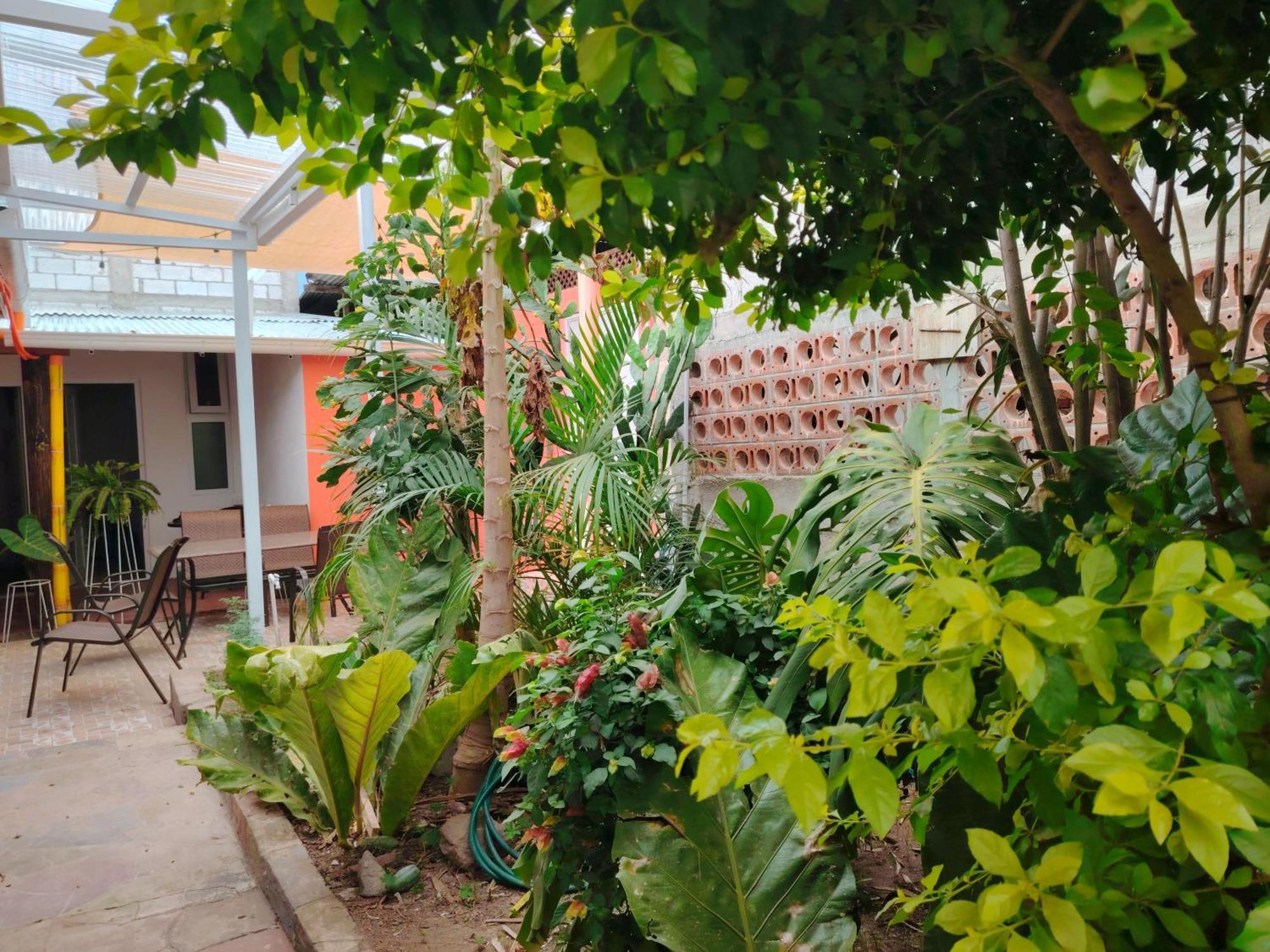 El Chirris B&B 圣胡安拉拉古纳 外观 照片