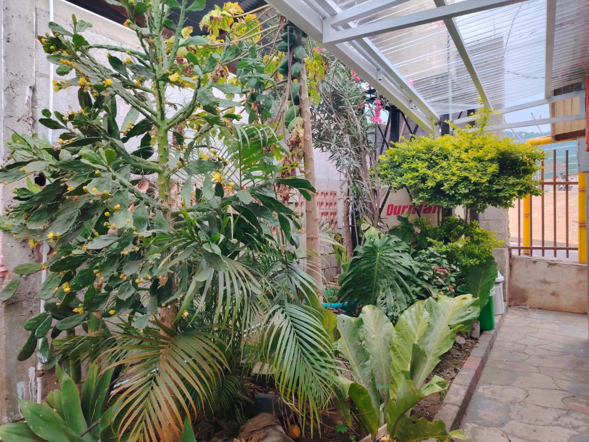 El Chirris B&B 圣胡安拉拉古纳 外观 照片